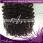 New Arrival Brazilian Virgin Hair Lace Closure , Virgin Brazilian Loose Wave Spiral Curly Closure