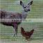 Plastic Deer fencing net,safety fencing net