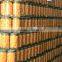 canned apricot