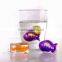 100% Food grade colorful fishing custom ice cube tray