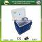 GM117 Professional vaccine refrigerator box 19L