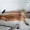 Real Silver Fur Skin / Natural Fox Fur Skin / Tanned Red Fox Fur Skin For Coat                        
                                                Quality Choice