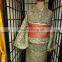 Traditional & Beautiful Kimono Girl Japan for Sale With Obi & Other Items Mixed Distributed in Japan TC-008-15