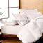 100% Cotton Pillow Light Color Pillow Core