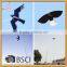 2015 New scaring bird hawk kite from the kite factory