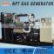300KW Biogas electric generator from Weifang manufacturer
