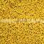 Plastic color masterbatch granular