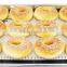 100% Food Grade Non-stick Custom Silicone Baking Mat