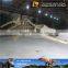 MY Dino-C058 Water Park Whale Skeleton for Sale