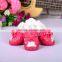 JML 2016 wholesale cute waterproof winter snow boots with warm fur anti-slip pet boots