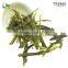 Premium Organic Tai Ping Hou Kui Monkey King Weight Loss Green Tea