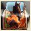 New Product Brown Horse Feece Throw Balnket Made In China