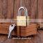 High polished Brass padlock/padlocks/Door locks/cabinet locks Rigid plastic package