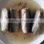 Wholesale canned sardine in oil lowest price