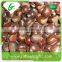 Turkish wholesale frozen chestnuts