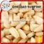White organic pine nuts