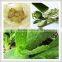 Professional GMP Factory Supply Natural Aloe Vera Extract