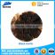 Top Quality Certified aged black garlic for wholesale
