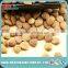 Bulk Apricot Kernel Seeds
