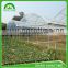 High tunnel/Multi span greenhouse in popular in china