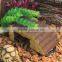 Resin cave for reptile lizard snake gecko chameleon turtle spider hide