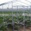 Hot sale greenhouse with pe tunnel greenhouse door