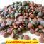 pet care dog food puppy formula