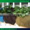 Wall hanging planter pot with auto watering system