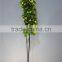 Home garden decoration 90cm hight cyan Gold string 19 flowers Cymbidium orchid artificial wedding flowers ELH03 0403