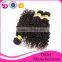 wholesale double weft can be permed 8"-30" mongolian kinky curly virgin hair different types of curly weave hair