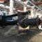 China SPR Rubber Lined Vertical Cantilever Slurry Pump