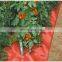 plastic red mulch film for strawberry tomato melon