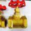 branded brass gate valves brass material BSP thread water gate valve