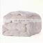Factory Price Cotton Pleated Goose New Style Soft Hot Sale Quilt 300Gsm,  Or Customized
