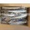 frozen spanish mackerel+frozen herring