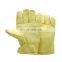 Dust Free 500 degree heat resistant gloves Anti Static Anti-scald High Temperature Resistant Factory Workshop Protection