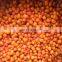 BRC Certified IQF Berries Fruit Frozen Sea Buckthorn