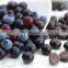 Manufacturer Bulk Fruit Juice Powder Organic Acai Berry Extract Powder Acai Powder