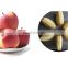 Automatic fruit stone extractor apricot and apple core removal machine.