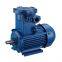 explosion-proof motor