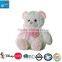 Plush Stuffed Toy Teddy Bear with Ribbon