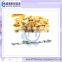 Fried Flour Snack Food Production Line with CE--bugle snack