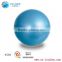 pvc bouncing anti-burst mini gym ball