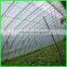 china factory produce transparent pe woven greenhouse film agricultural plastic film for tomato planting