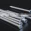 High quality galvanized concrete nails