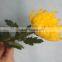 Elegant in smell top sell fresh elegant chrysanthemum