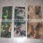 Polyester fabric T/C 65/35 21*21 124*69 38"