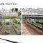 Garden Greenhouse Three Layer Hydroponics for Agricultural