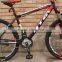 2015 new model cheap mountain bicycle from China(pw-m26113)