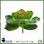 PVC PE Greenery Fake Succulents with Red Tip